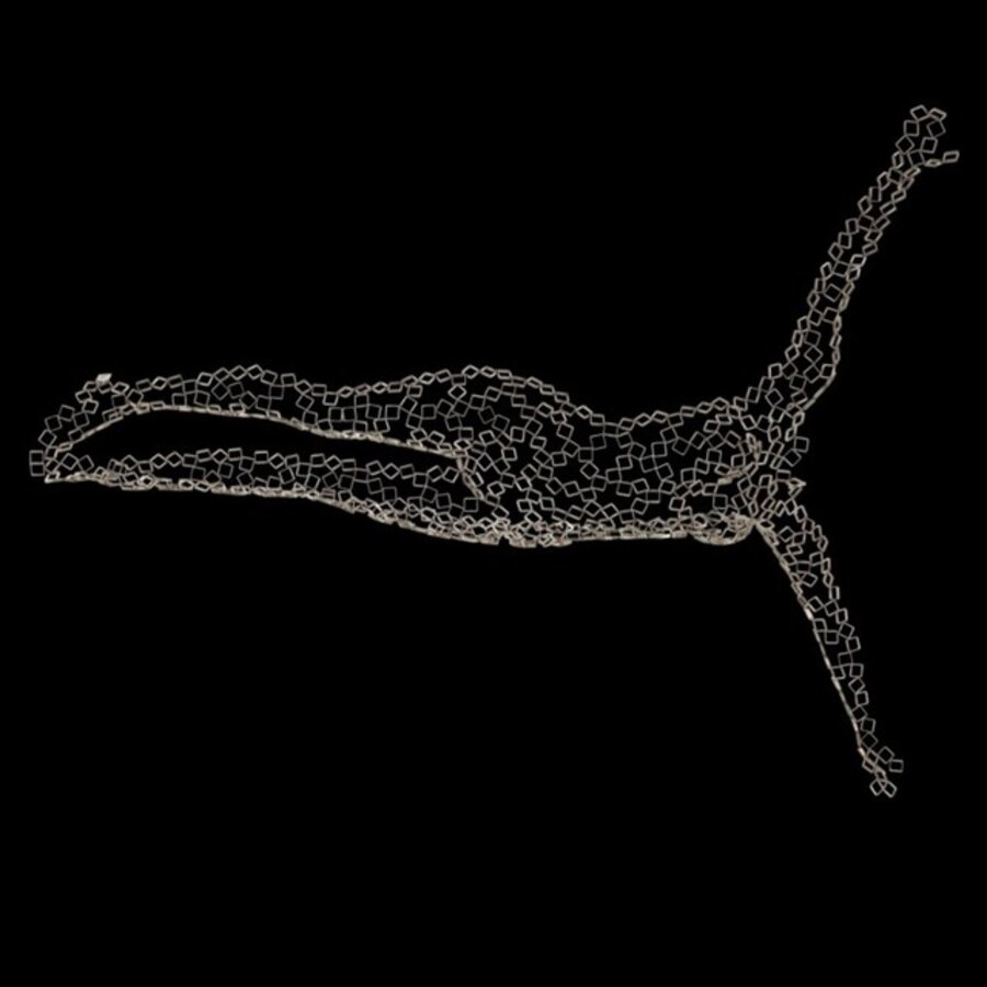 Diver J Two