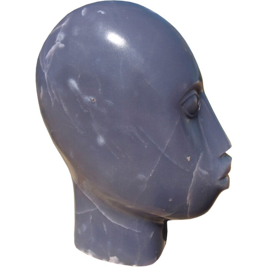 Beautiful Head