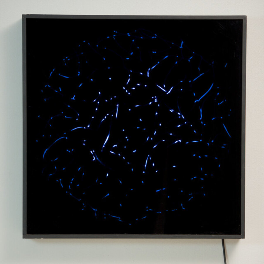 Schemo Luminoso Variabile R. Fire,