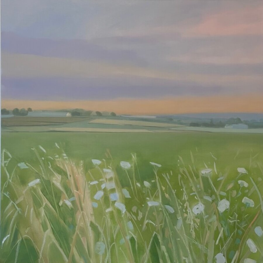 Hazy dusk in the fields