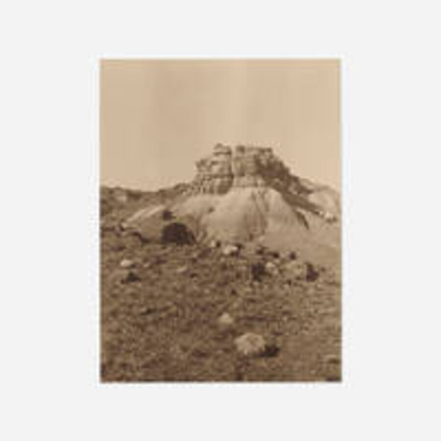 In the Petrified Forest - North Sigillana