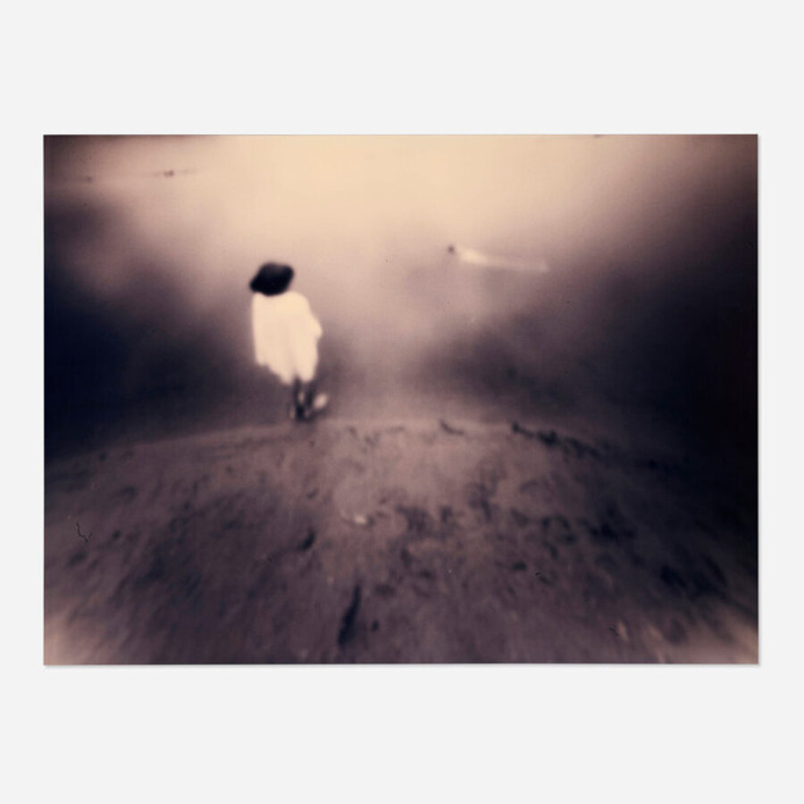 Untitled (from the Food For the Moon series)
