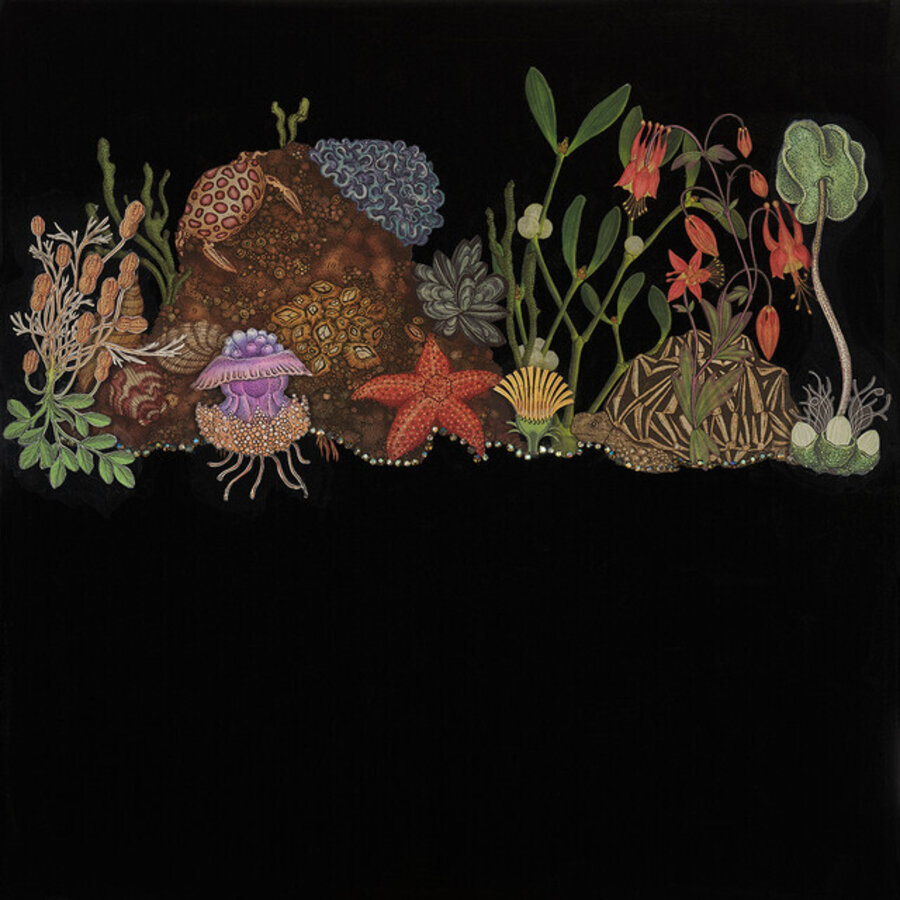 I Am an Island (Turtle/Coral/Flower)