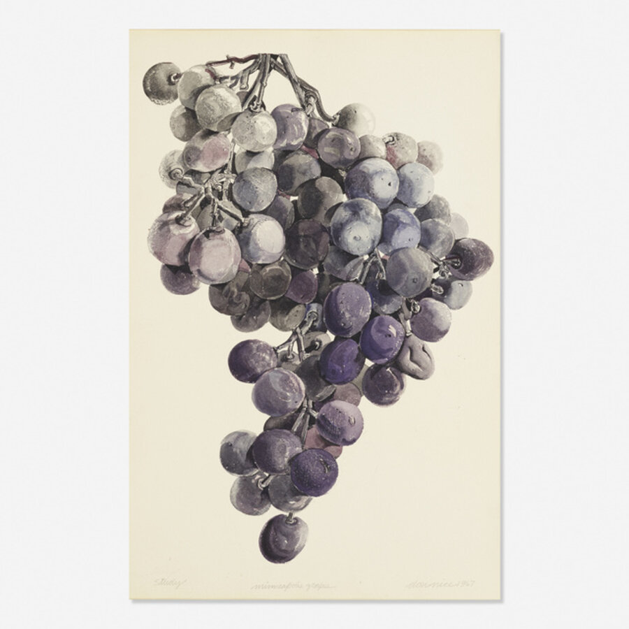 Minneapolis Grapes (Study)