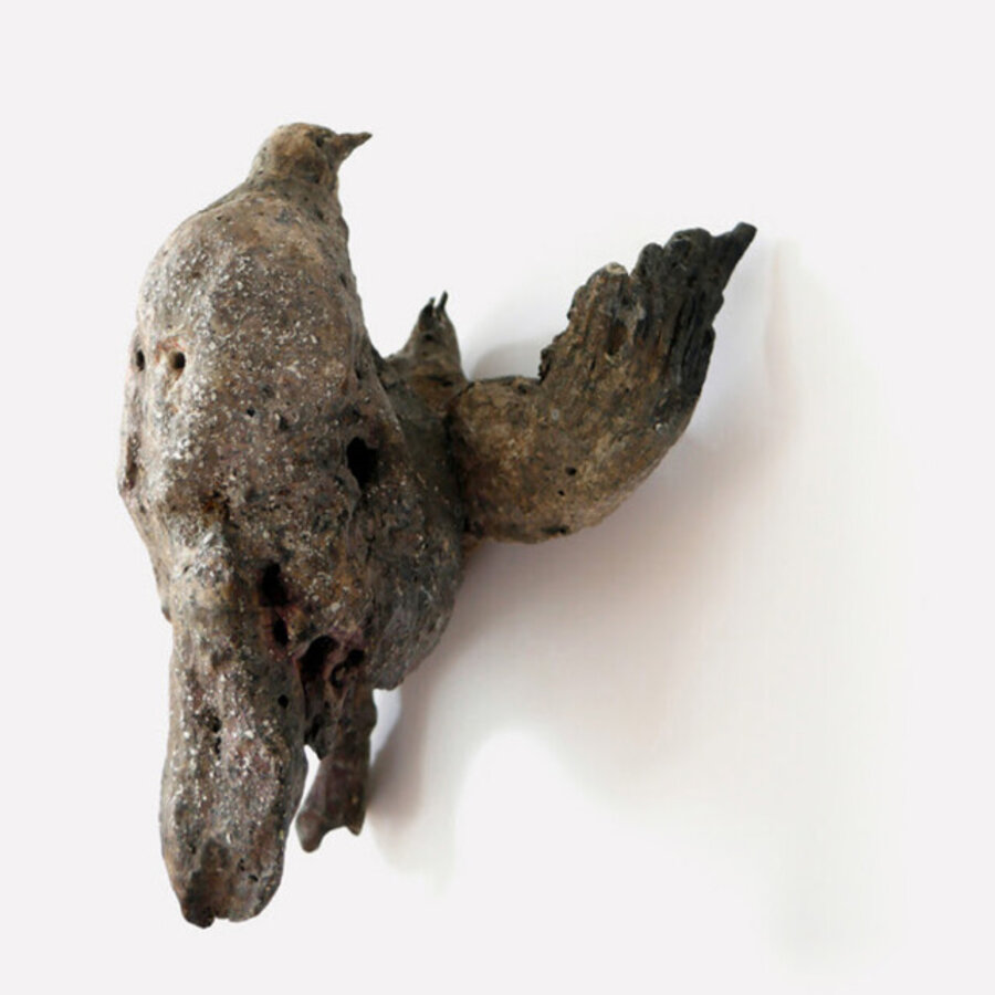 Ossuary (Starling , Linnet, Crow)