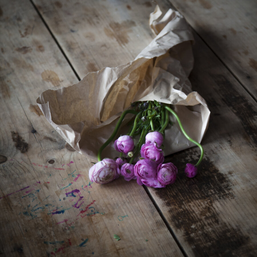 Ranunculus and the Felt Tip Markers