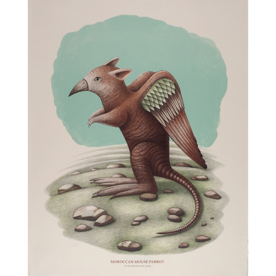 Ornithological Quadrupeds: Moroccan Mouse Parrot