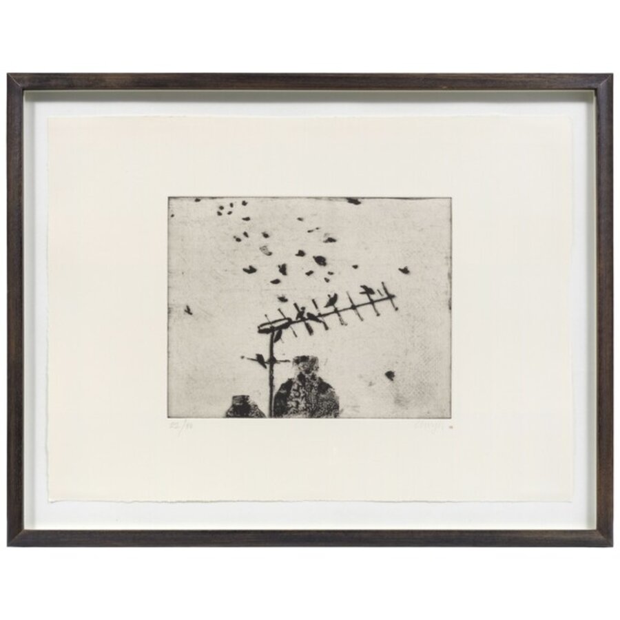 Starlings