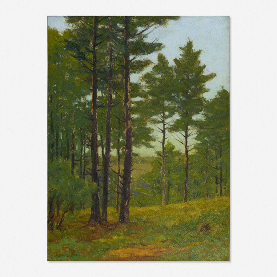 Pine Woods