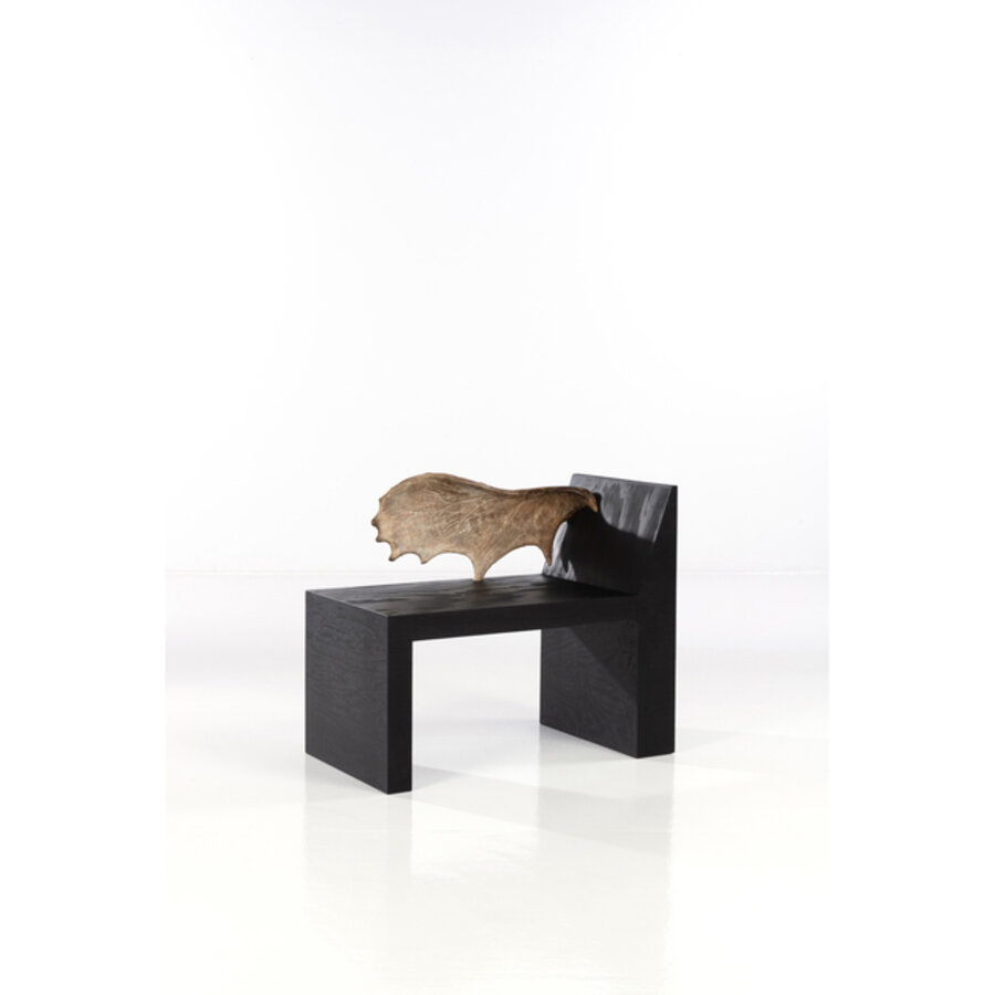 Tomb flesh - No. 1/12, Bench