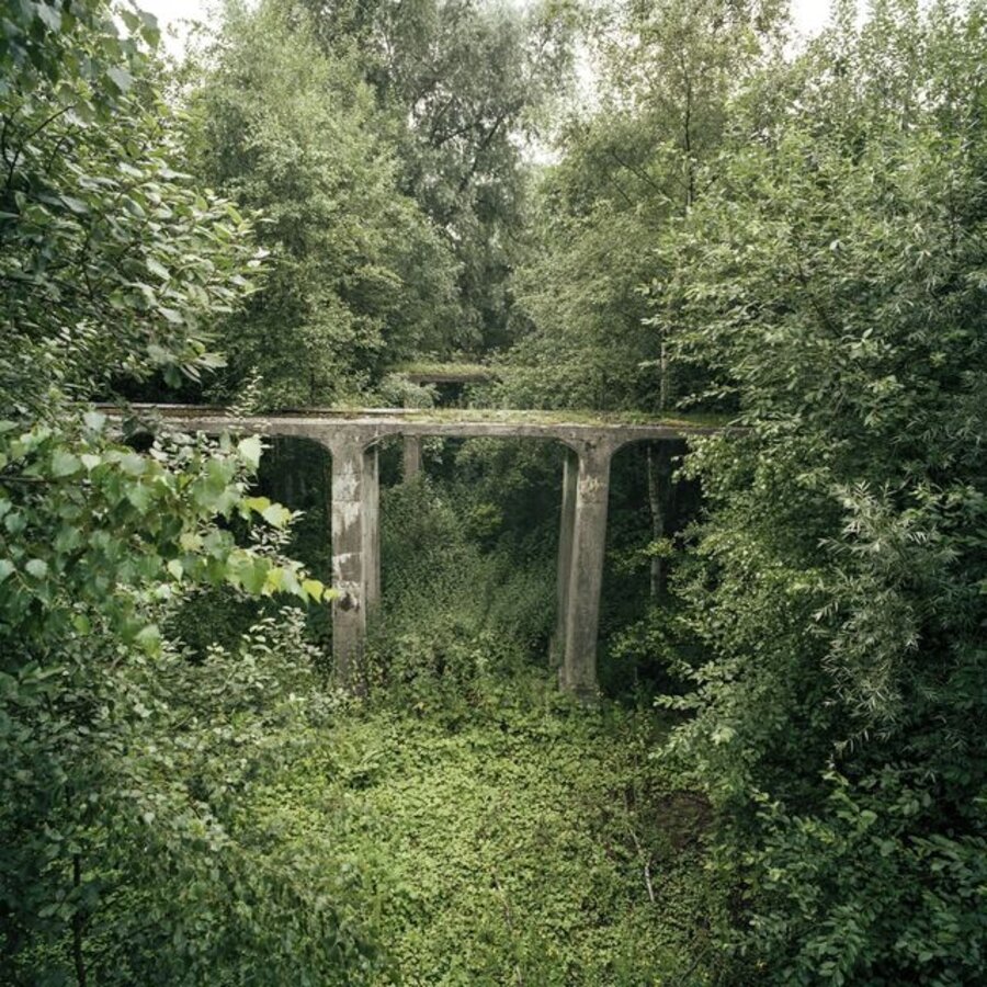 Neo-Nature D1