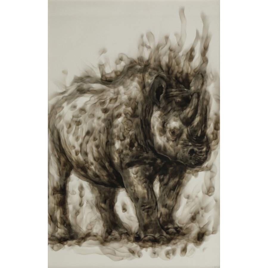 Rhinocéros