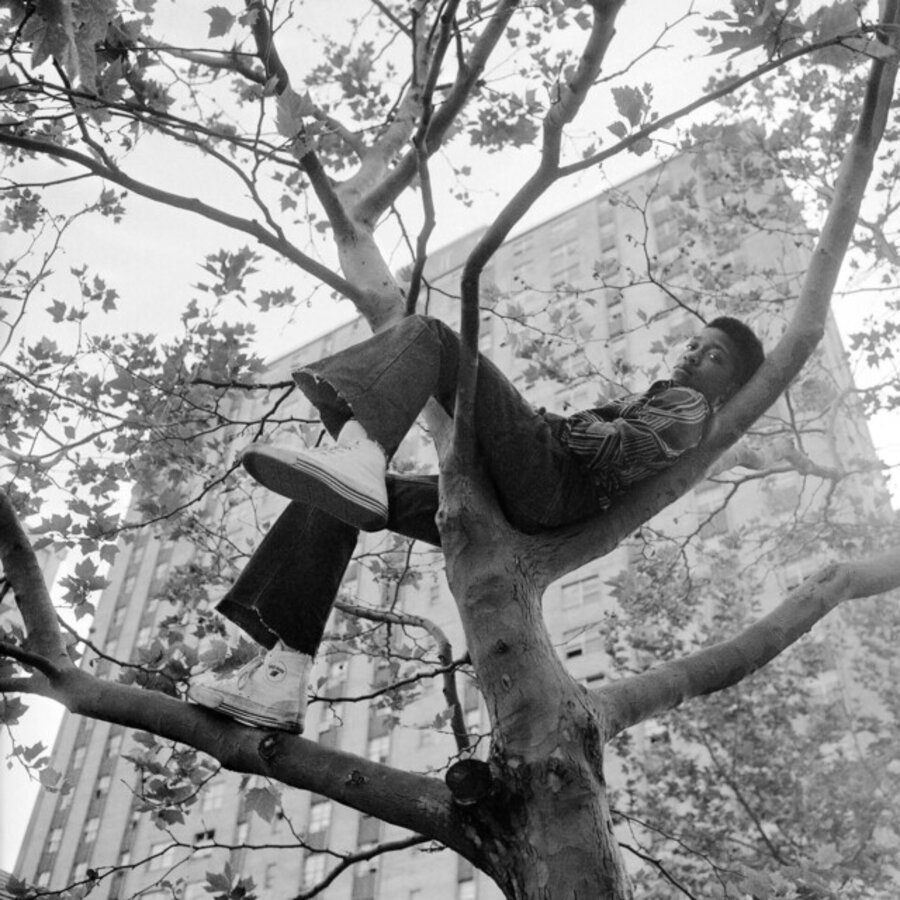 Reclining in tree by Goddard Riverside Community Center NY, NY, June 1978