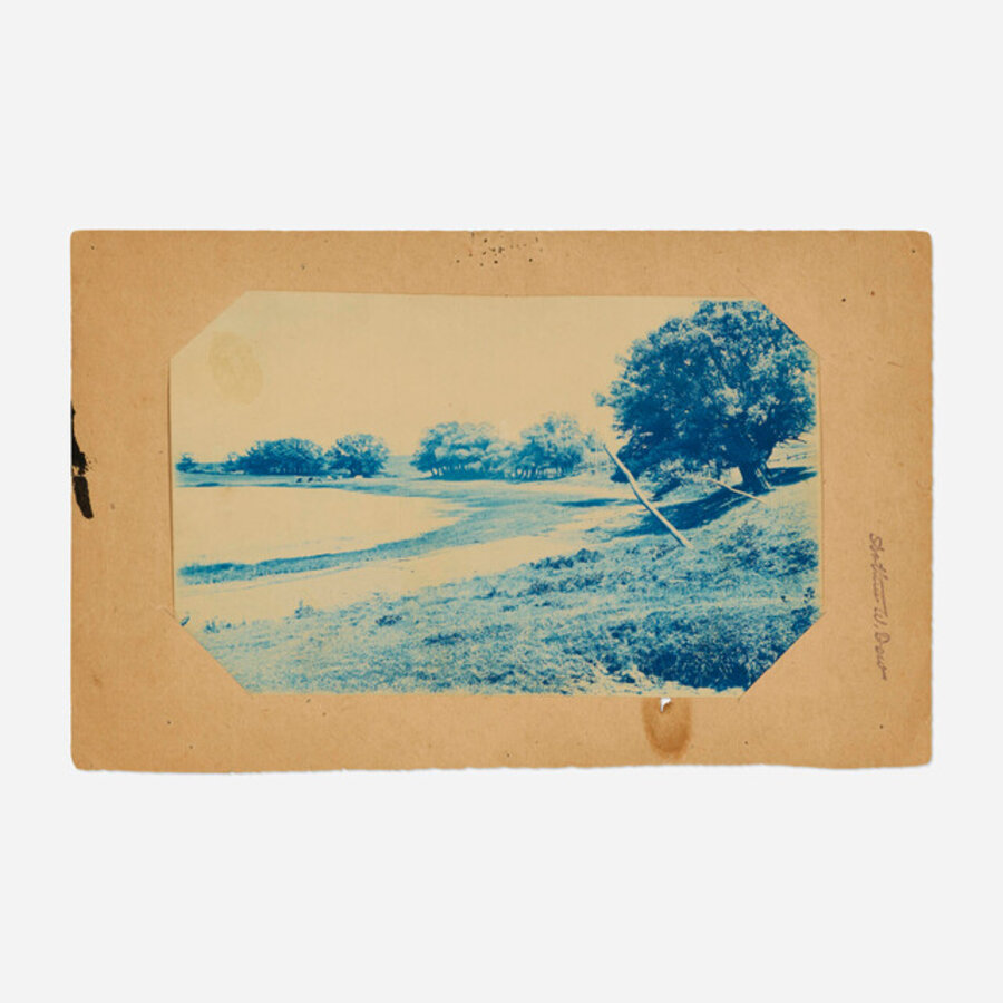 Willows on Turkey Shore