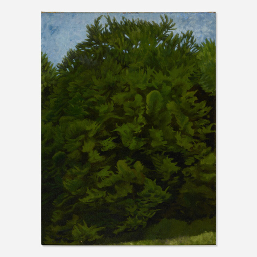 Tree in the Wind
