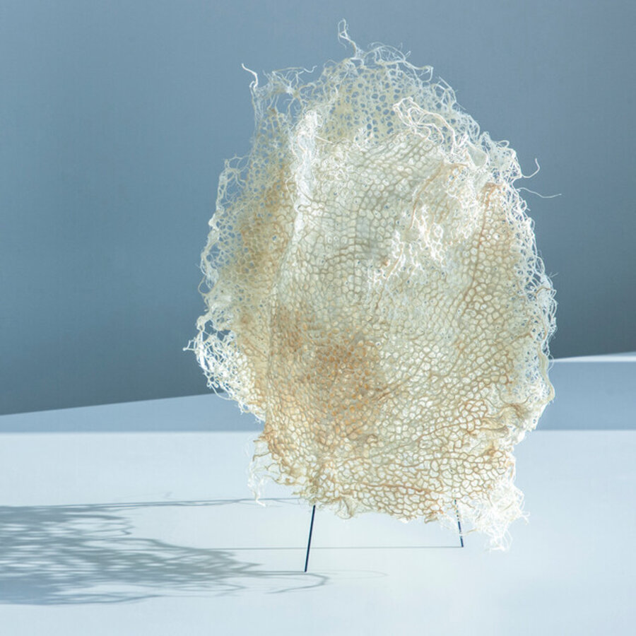Root Lamp, Ecru