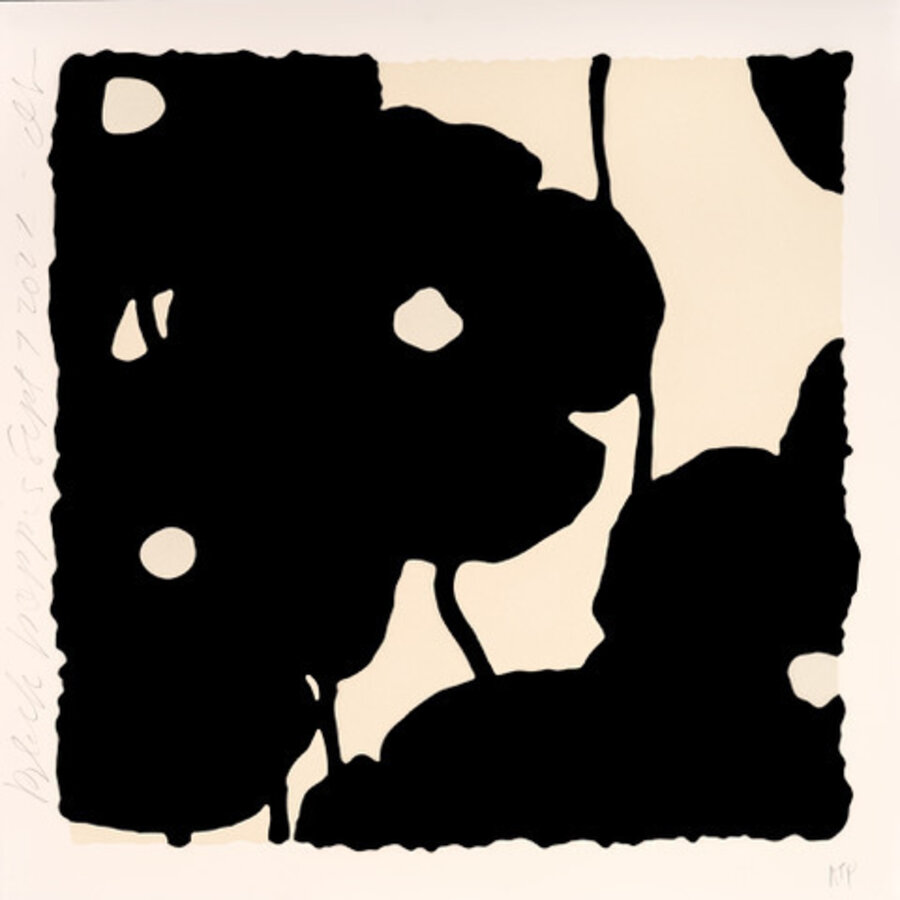 Black And White Poppies (September 7, 2022)
