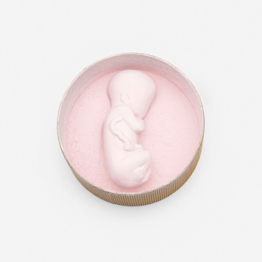 Pink Fetus