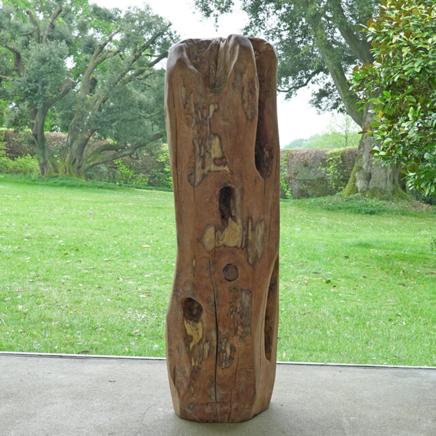 Family of Yew 3
