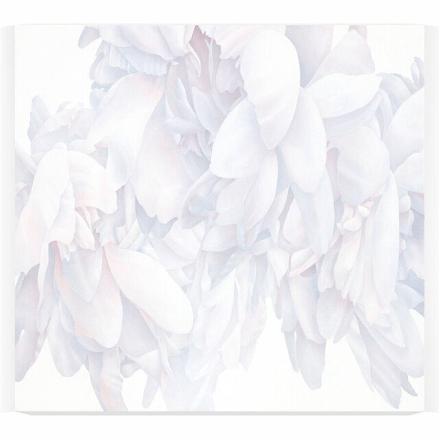 Material Study 17a