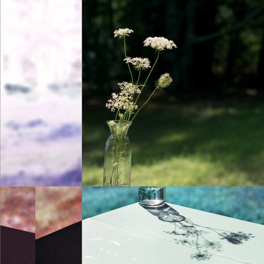 Still Life Altered, From the Fugue States Part II series