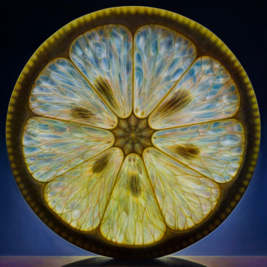 Rosette Series #39