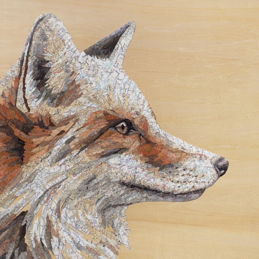 Prospect