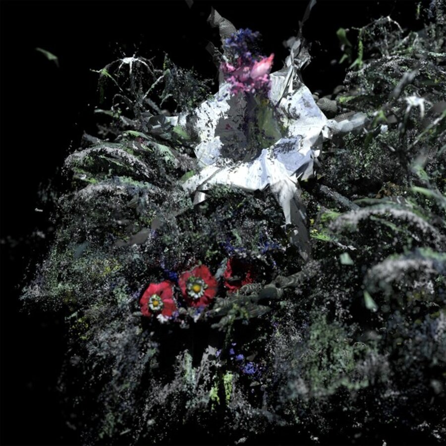 Compost XV
