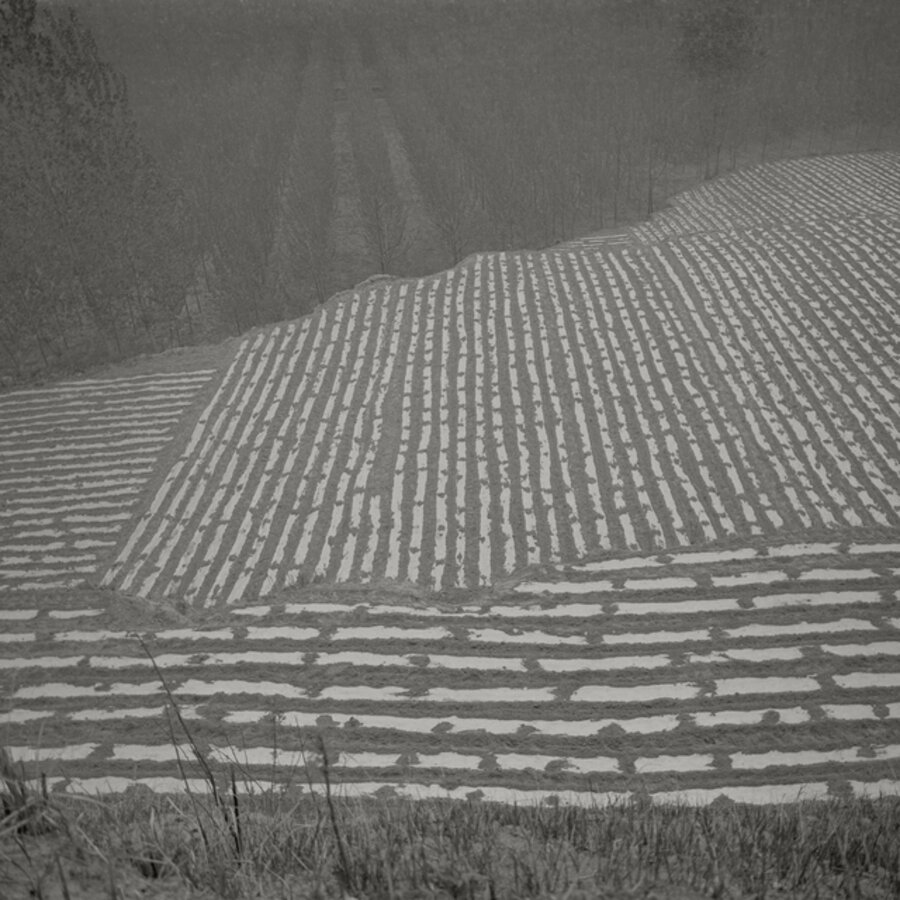 Odes of Chen I - Fields on the Outskirts