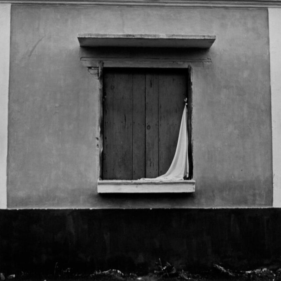 Window