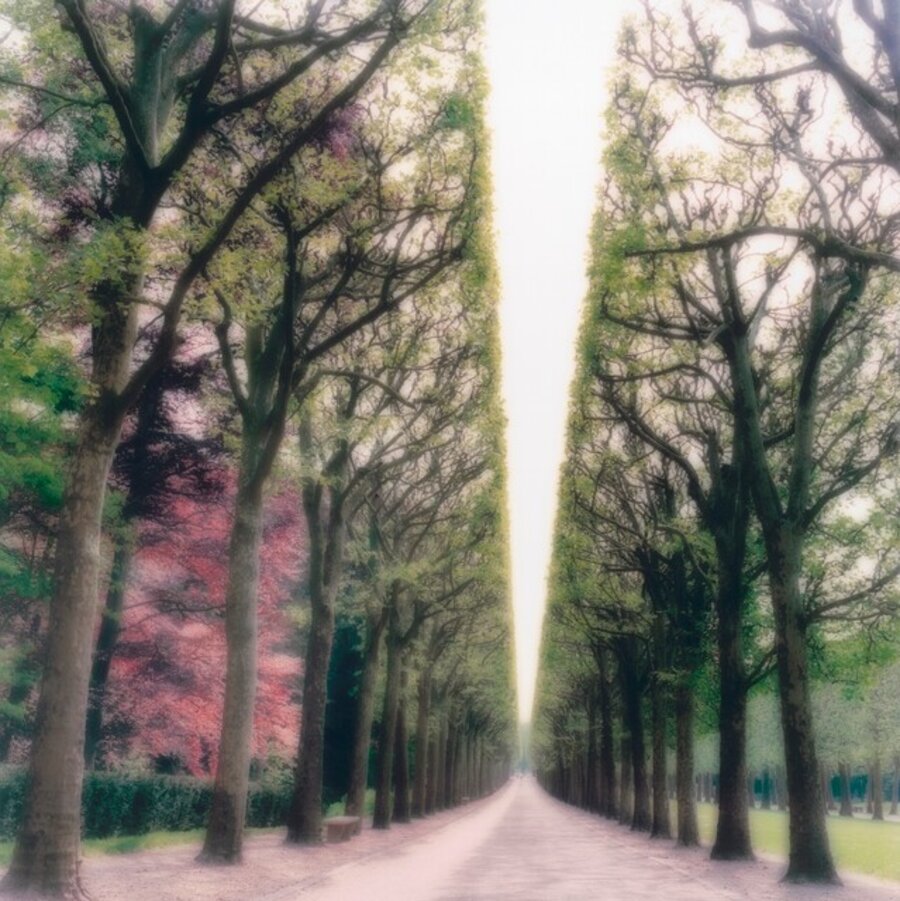Park de Sceaux, France (4-07-6c-9)