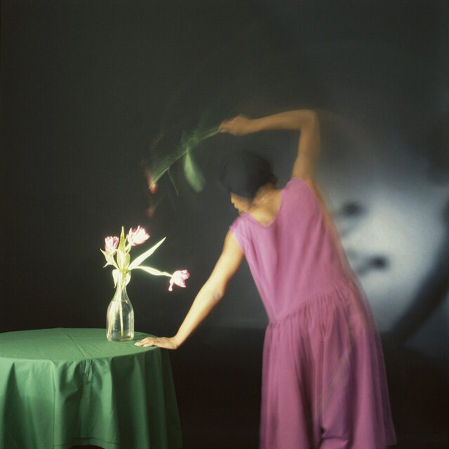 Magenta and Green: Dancing with Tulips