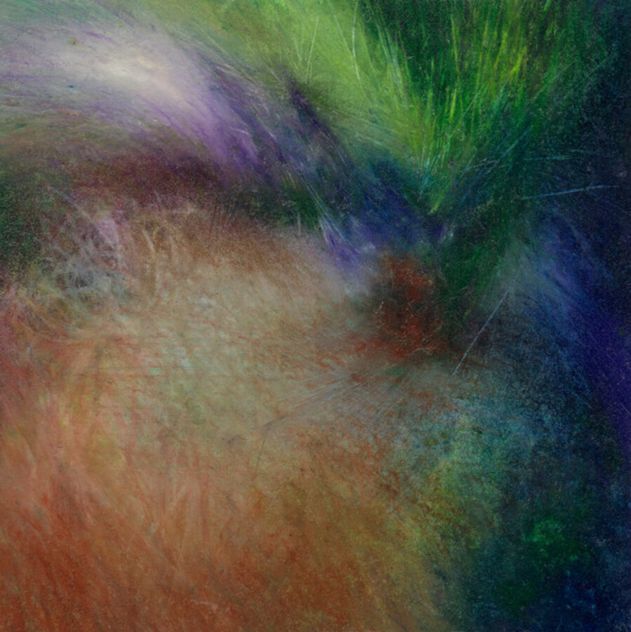 Plume Fields