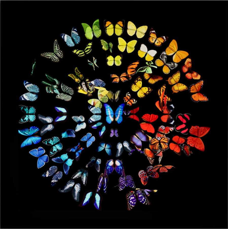 Spectrum