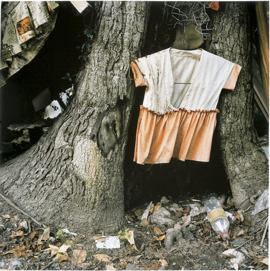Child's Dress in Tree Trunk
