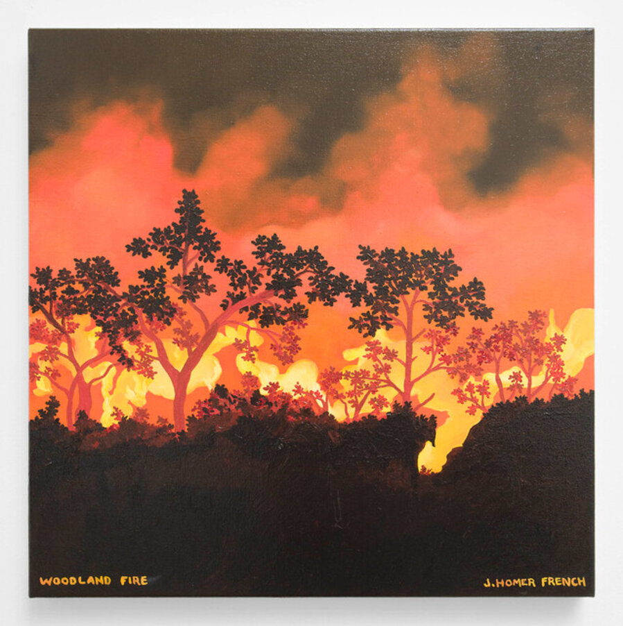 Woodland Fire