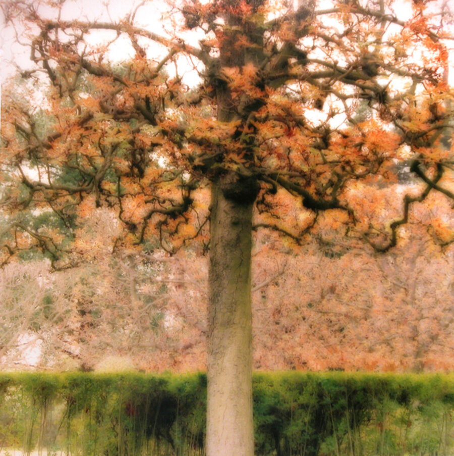 Parc de Sceaux, France (10-08-26c-7)