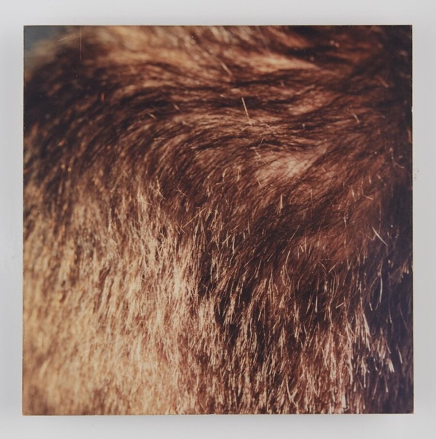 Displacement # 1; Displacement # 2