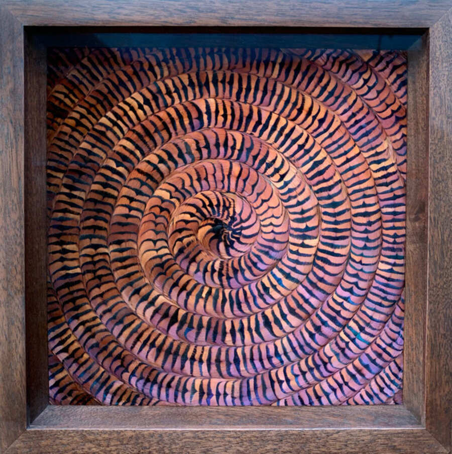 Whorl