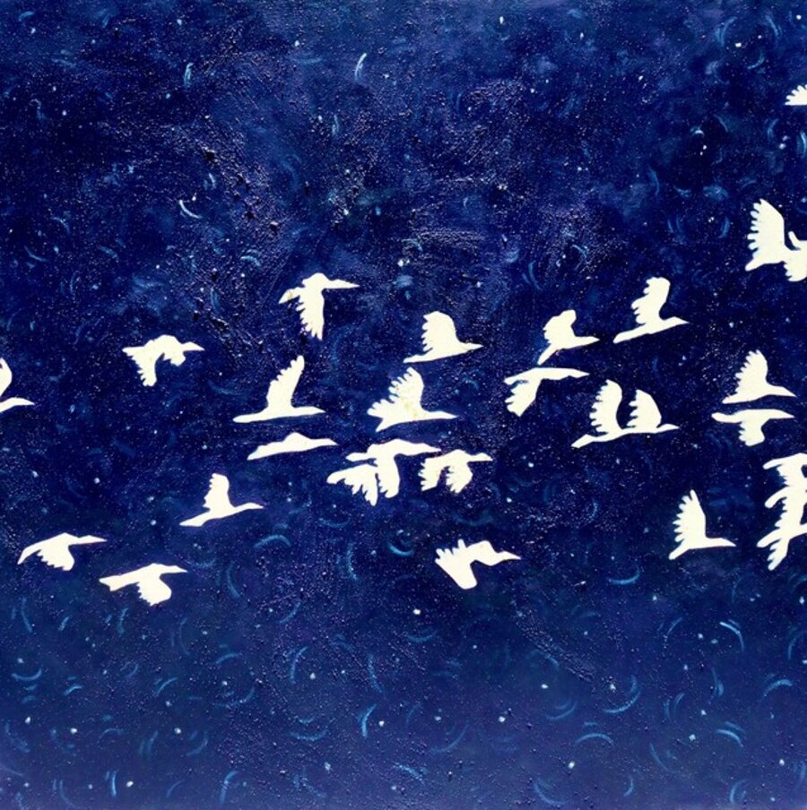 Going southward at midnight 子夜向南