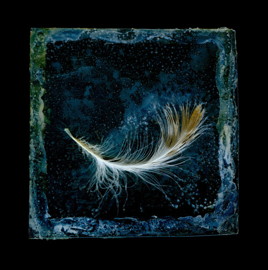 Sketch for a Down Feather Work, Uisken