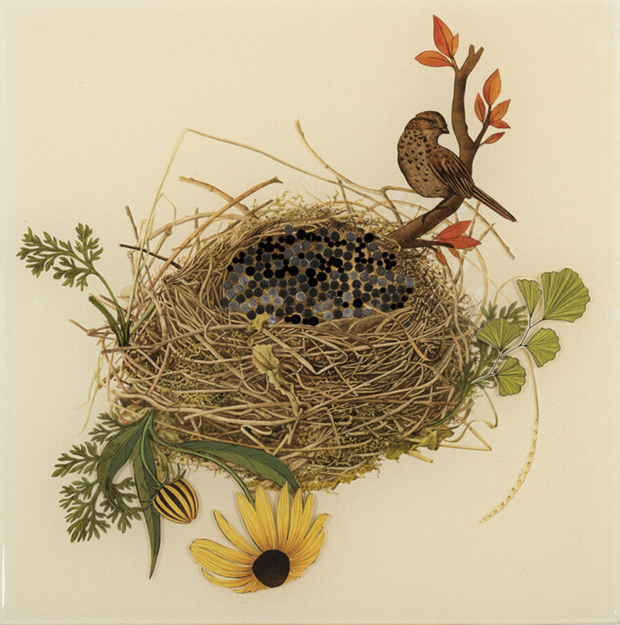 Birds Nest, Nowhere