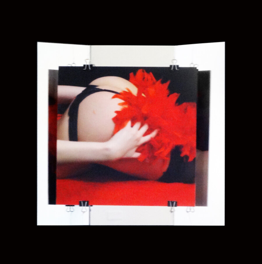 Anverso - Plumas Cola