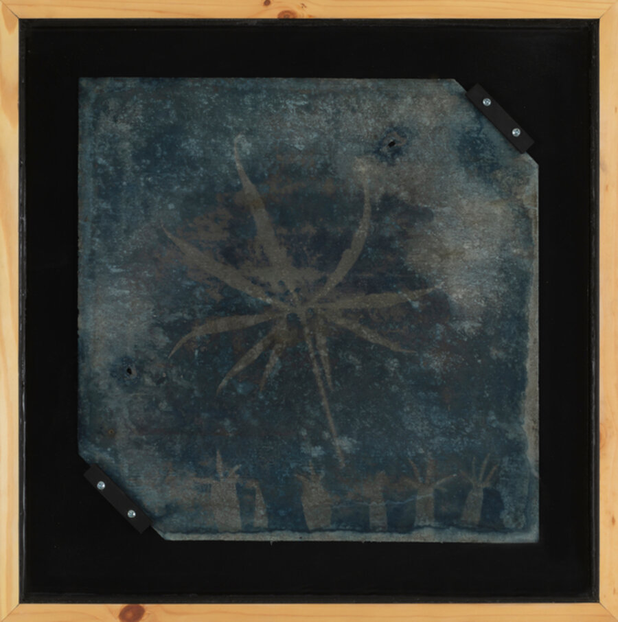 On Mineral Fibers (Summer House Herbarium) 01