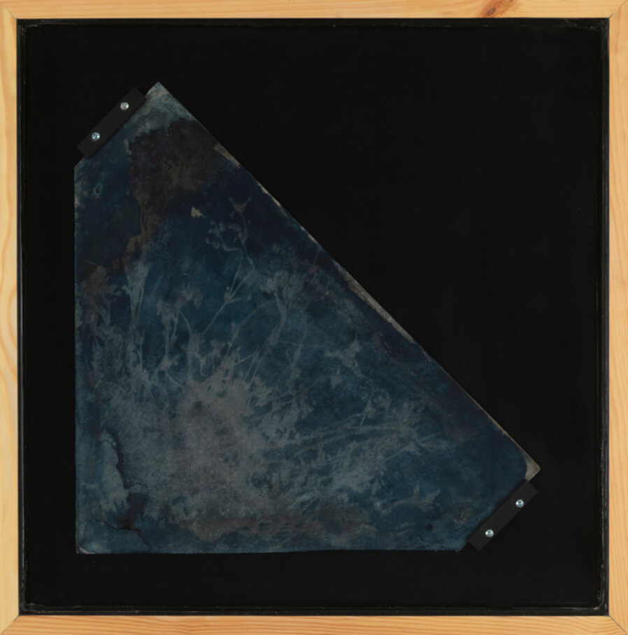 On Mineral Fibers (Summer House Herbarium) 06