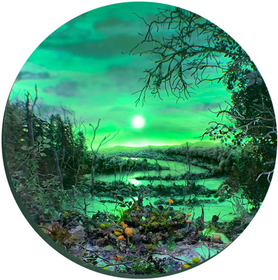 Purple Swamp with Moon