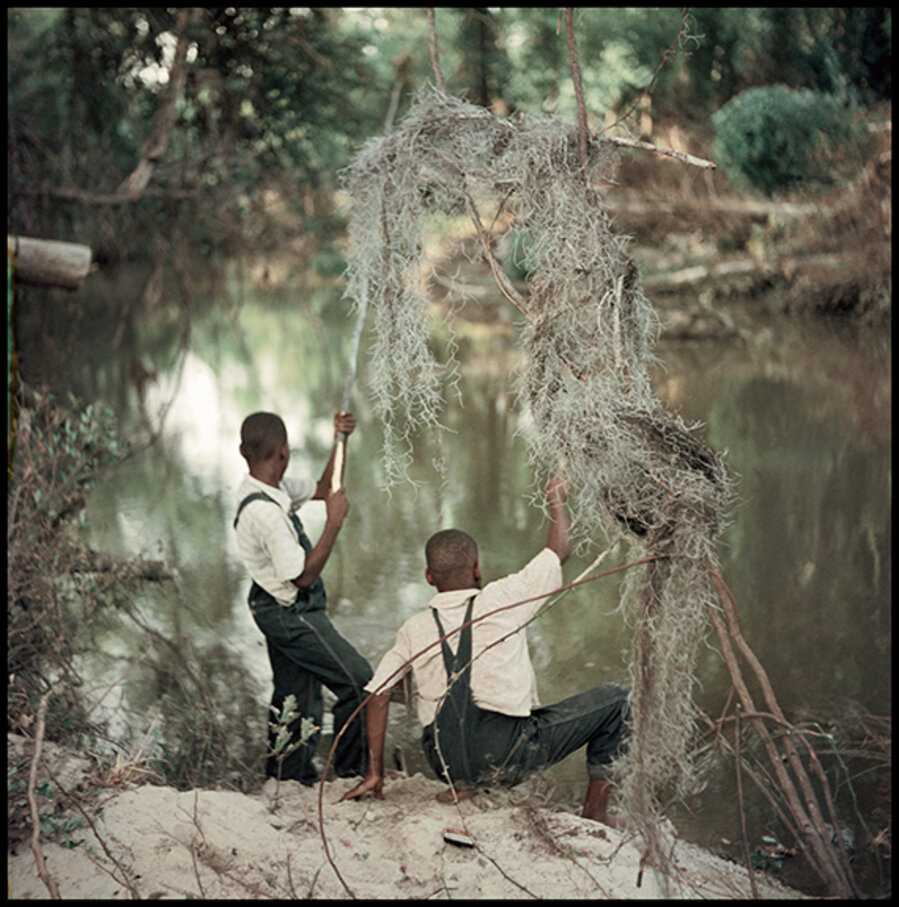 Untitled, Shady Grove, Alabama