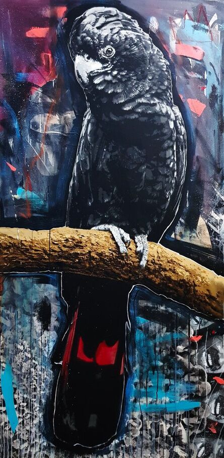 Luke Cornish (ELK), ‘Red-tailed Black Cockatoo’, 2022