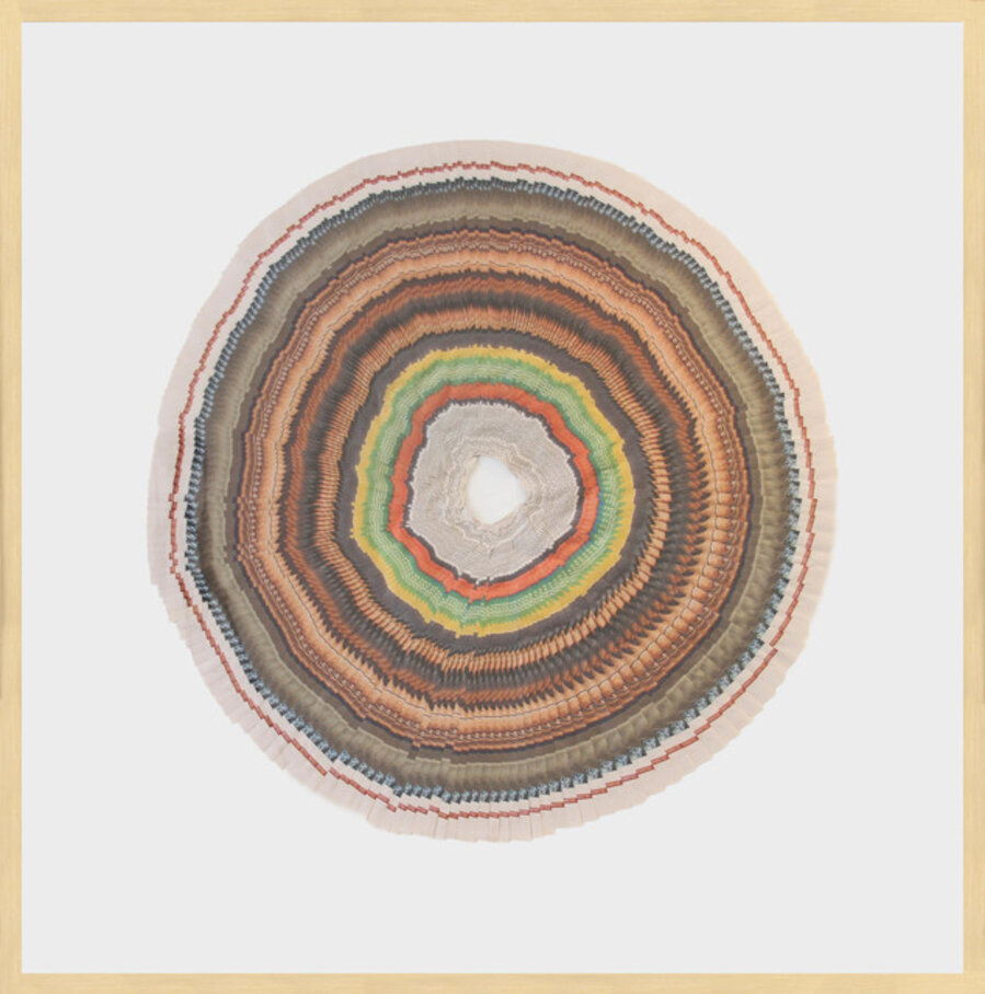 Anillos del Tiempo / Time Rings