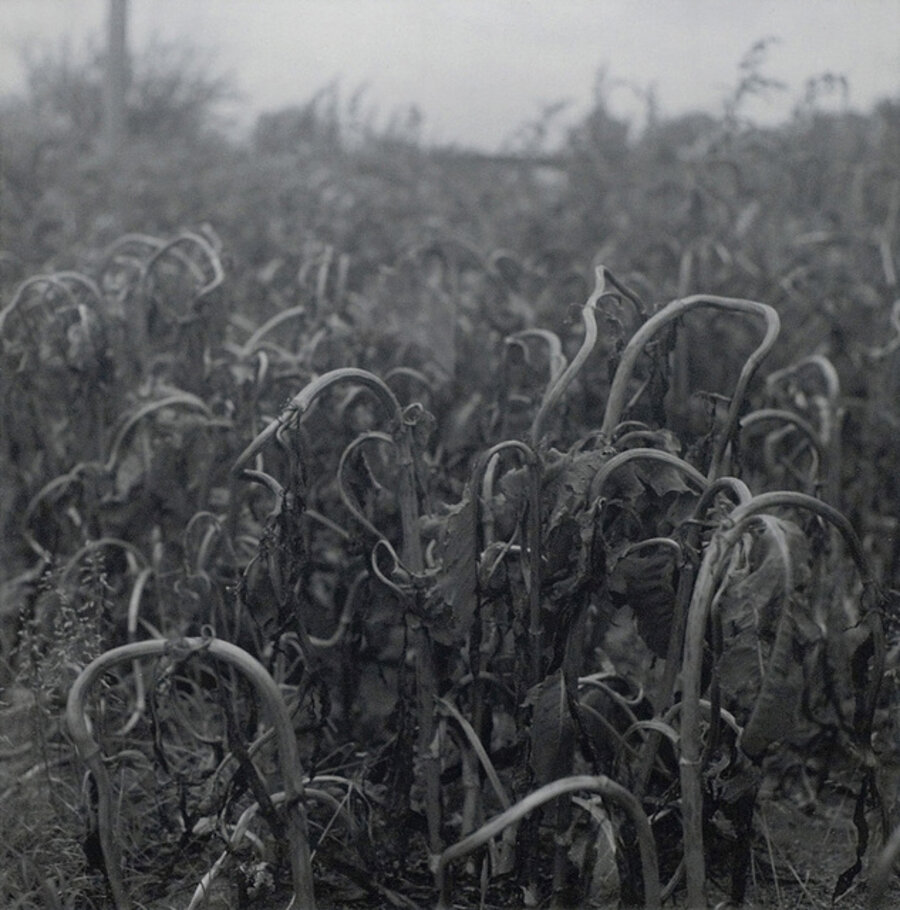 Red Cloud, Nebraska, USA, 1996